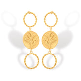 Aretes de coníferas y aros vista frontal